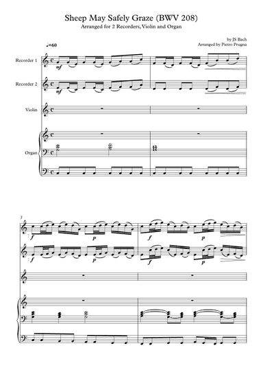 Sheep May Safely Graze (BWV 208) by JS Bach - arranged for 2 Recorders, Violin and Organ (arr. Pietro Prugna)