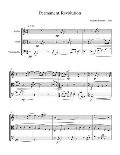 Permanent Revolution