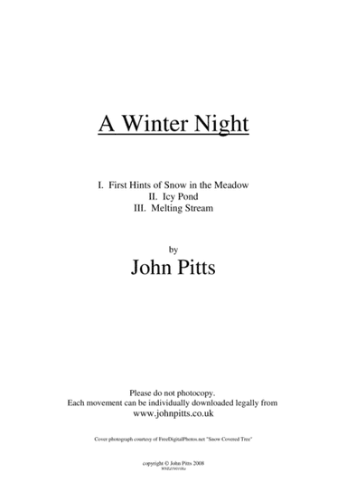 A Winter Night