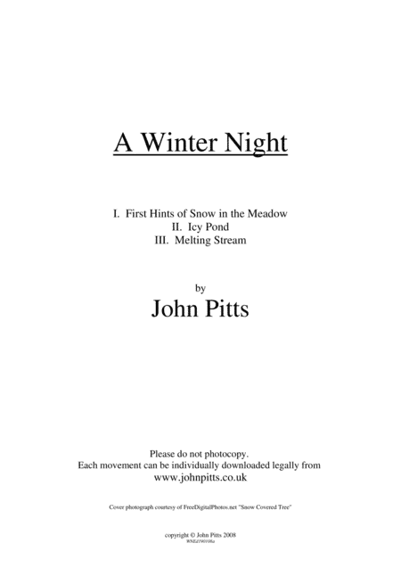 A Winter Night