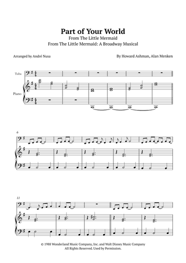 Part Of Your World (arr. André Nusa)
