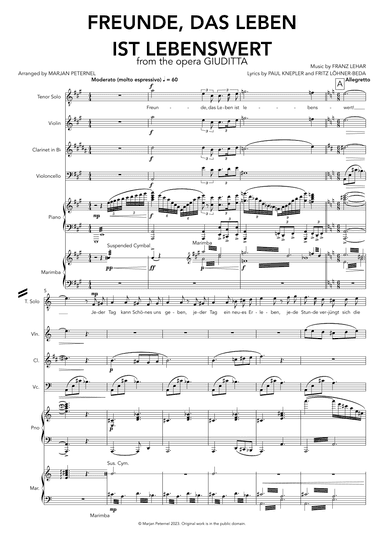 Freunde, das Leben ist Lebenswert (arr. Marjan Peternel)