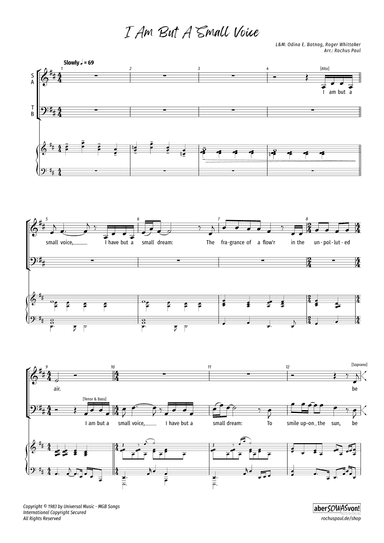 I Am But A Small Voice (arr. Rochus Paul)