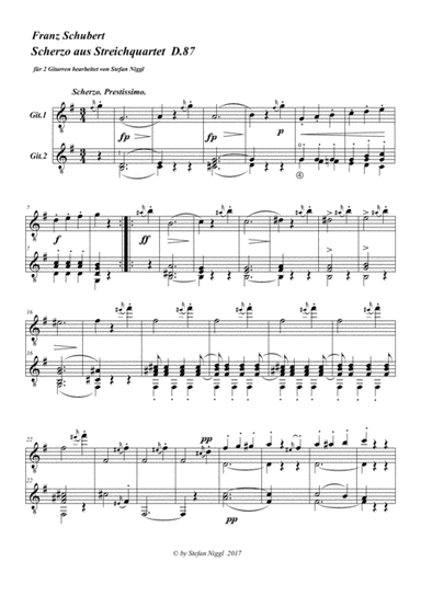 Scherzo from String Quartet D.87 for Guitar Duet (arr. Stefan Niggl)