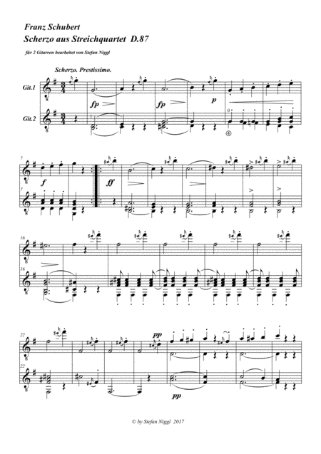 Scherzo from String Quartet D.87 for Guitar Duet (arr. Stefan Niggl)
