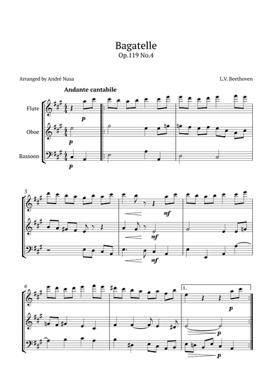 Bagatelle Op.119 No.4 (arr. André Nusa)