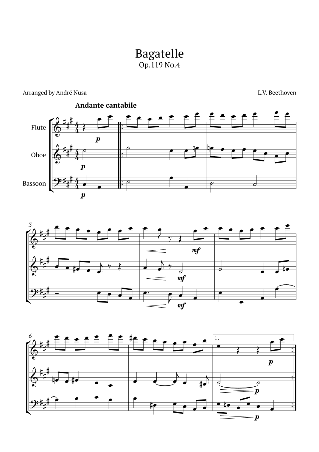 Bagatelle Op.119 No.4 (arr. André Nusa)