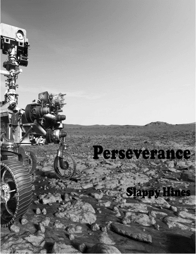 Perseverance