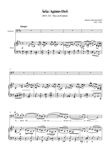 Aria (Agnus dei) from the Mass in B Minor (BACH) - Baritone_Em (arr. André Alberto Santos)