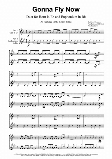 Gonna Fly Now (arr. Tim Curd)