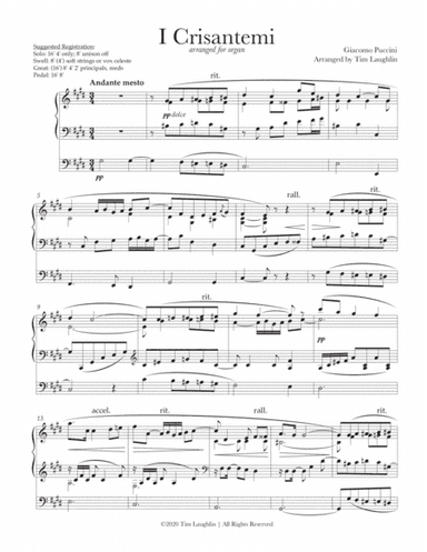I Crisantemi (Chrysanthemums) (for organ) (arr. Tim Laughlin)
