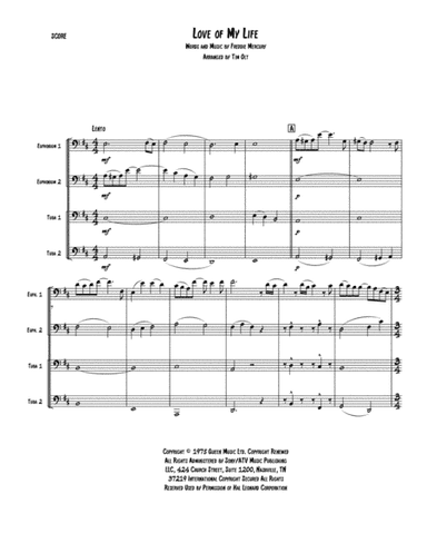 Love Of My Life (arr. Tim Olt)