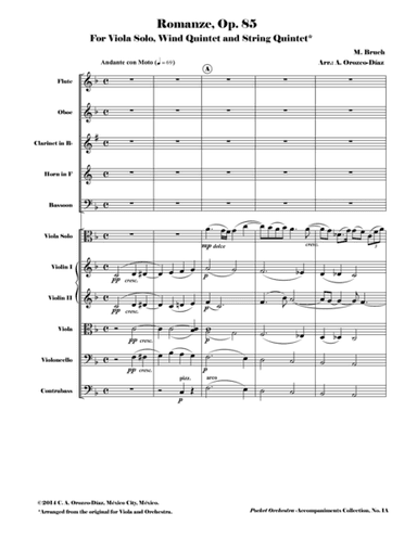 Bruch - Romanze for Viola and Orchestra, Op. 85 (Accompaniment Reduction for Wind Quintet & String Q (arr. C. A. Orozco-Diaz)