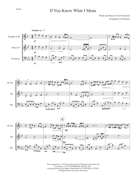 If You Know What I Mean (arr. Jim Bicigo)