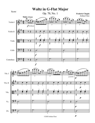 Waltz, Op. 70, No. 1 (in G Major) (arr. Joshua Choe)