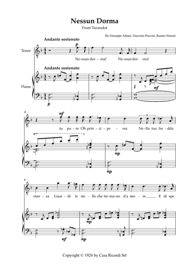 Nessun Dorma - Tenor & Piano (arr. Karen Gueiros)