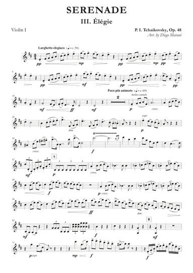"Elegie" from Serenade Op. 48 for String Quartet (arr. Diego Marani)