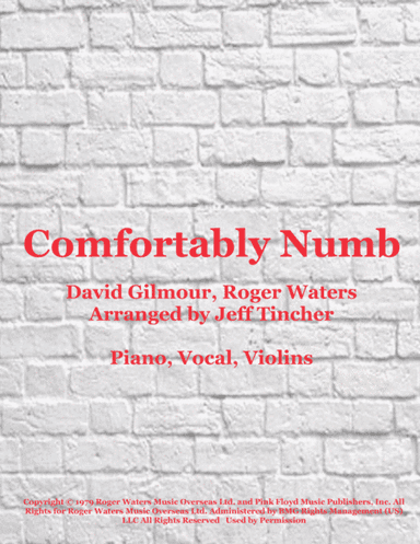 Comfortably Numb (arr. Jeff Tincher)
