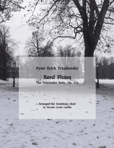 Tchaikovsky - Reed Flutes (The Nutcracker) for trombone choir (arr. Nicolás Cortés Castillo)