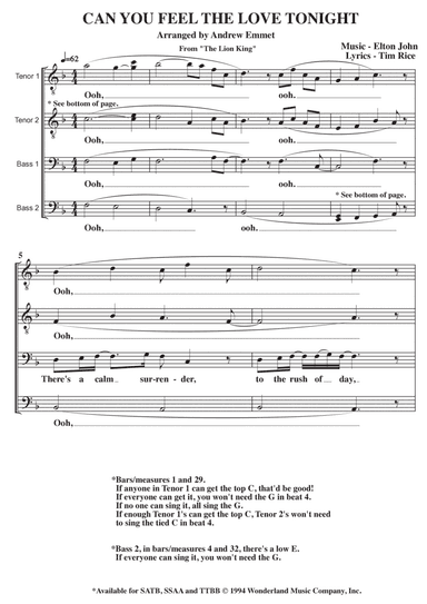 Can You Feel The Love Tonight (arr. Andrew Emmet)
