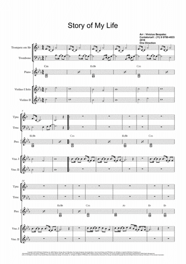 Story Of My Life (arr. vinicius silva bespalec)