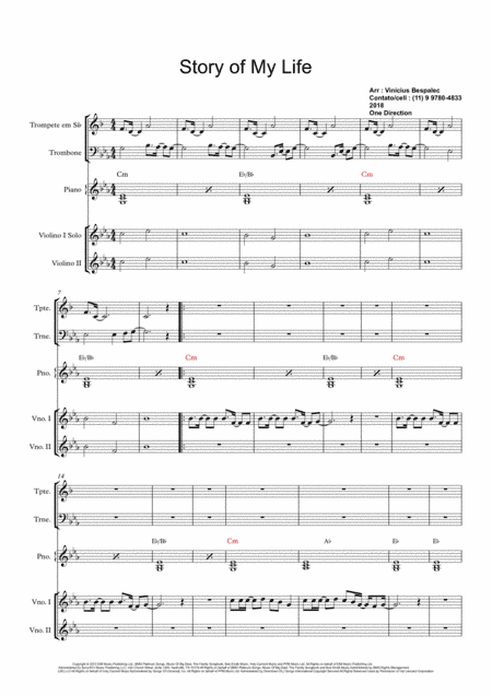 Story Of My Life (arr. vinicius silva bespalec)