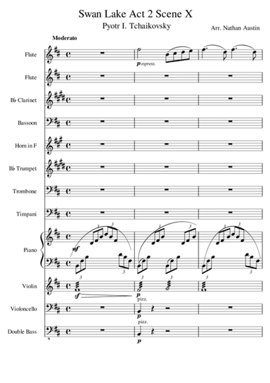 Swan Lake - Act 2, Scene X (arr. Nathan Austin)