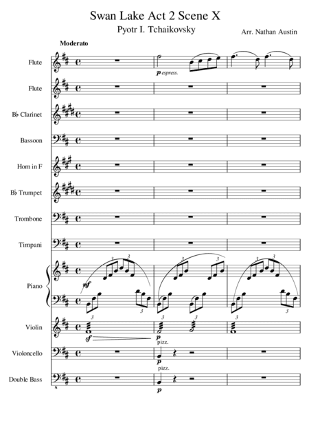 Swan Lake - Act 2, Scene X (arr. Nathan Austin)