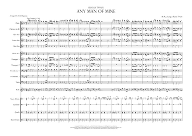 Any Man Of Mine (arr. Erik Chapman)