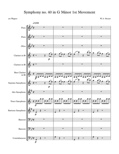 Symphony No. 40 in G Minor 1st Movement K. 550 (arr. Matthew Wagner)