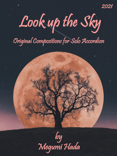 Look up at the Sky (Accordion Solo)