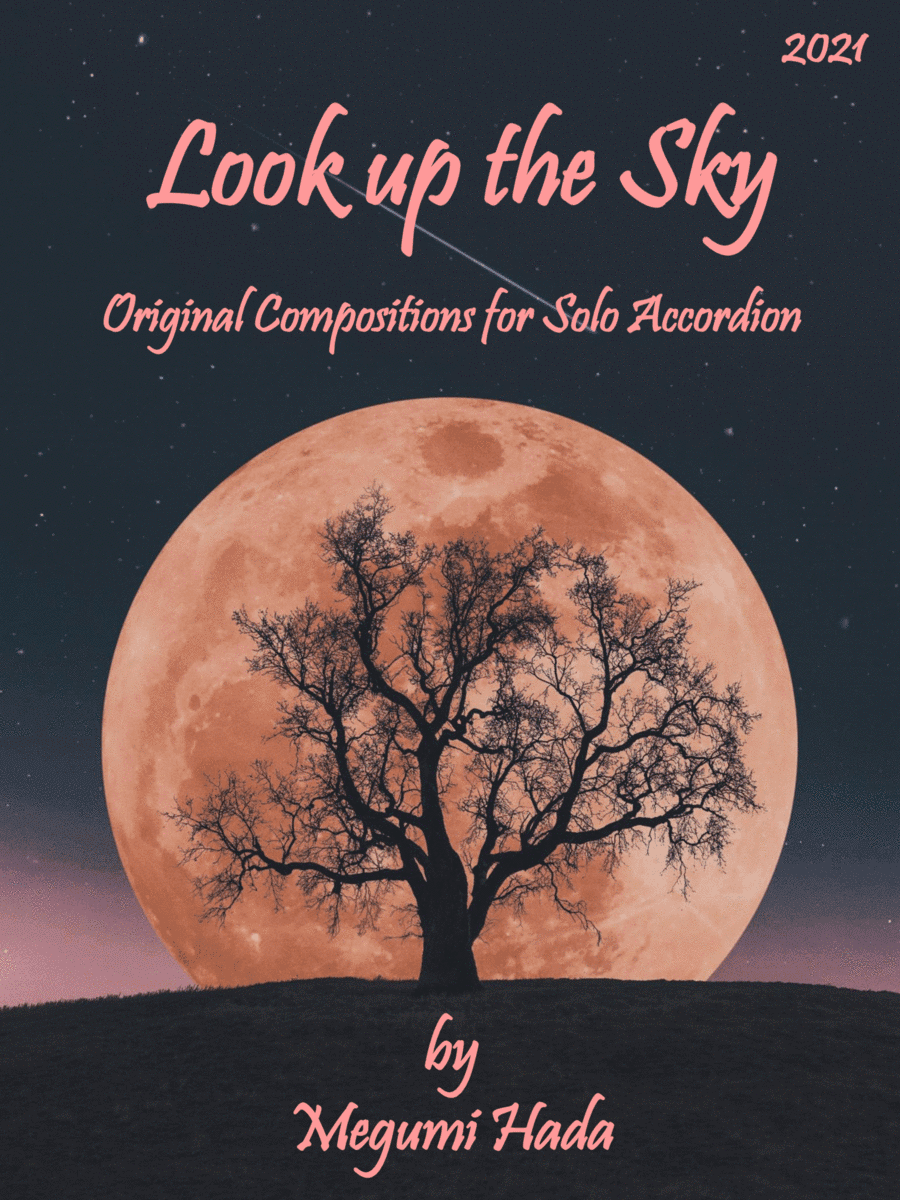Look up at the Sky (Accordion Solo)
