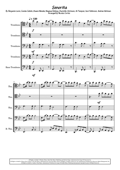 Senorita (arr. Nicolás Cortés Castillo)