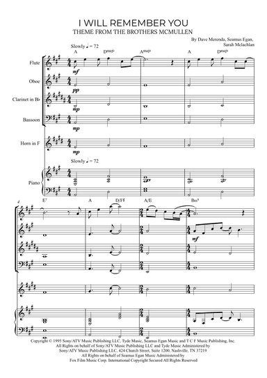 I Will Remember You (arr. Alex Nunes Rodrigues)