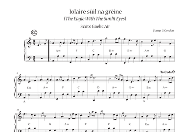 Iolaire sùile na grèine (The Eagle With The Sunlit Eyes)