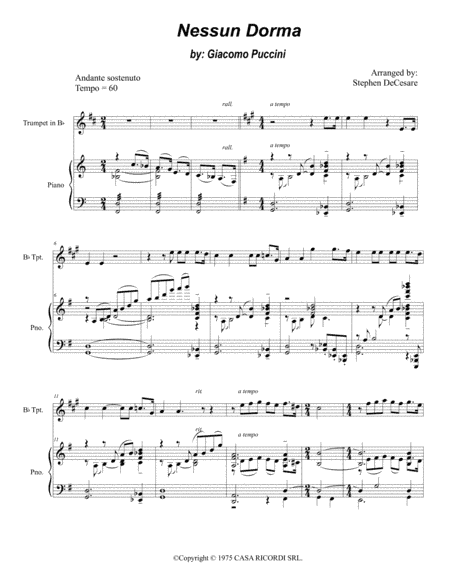 Nessun Dorma (arr. Stephen DeCesare)