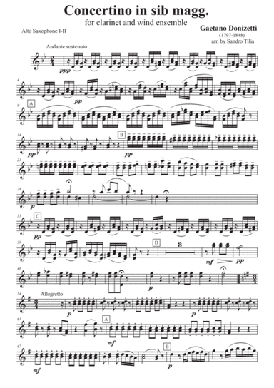 Gaetano Donizetti - Concertino in Sib maggiore - for clarinet and wind ensemble (arr. Sandro Tilia)