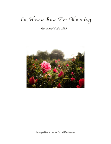 Lo, How a Rose E'er Blooming (arr. David Christensen)