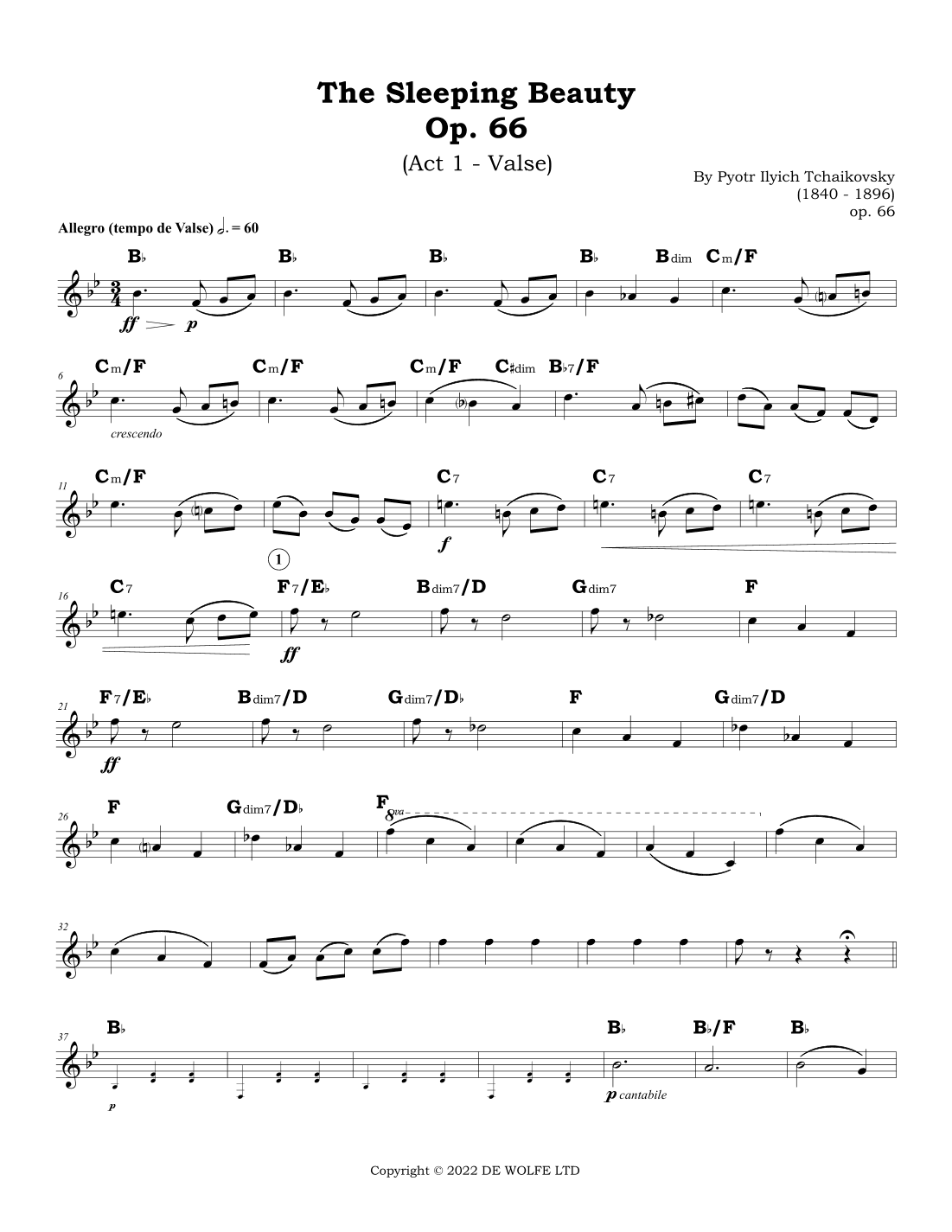 The Sleeping Beauty, Op. 66: Act 1 - Valse (arr. Isabel Oliveira Hill)