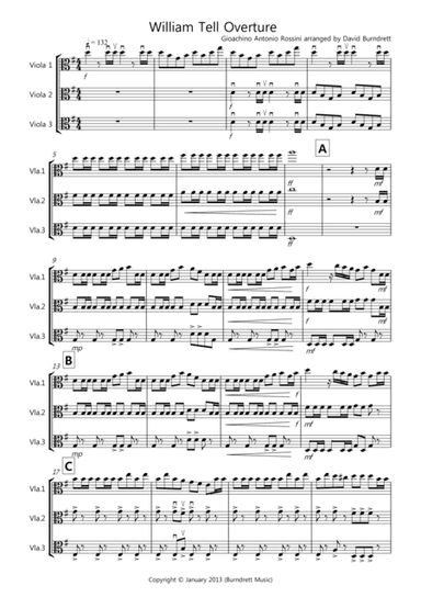 William Tell Overture for Viola Trio (arr. David Burndrett)