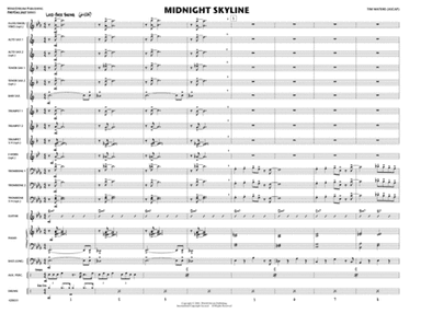 Midnight Skyline