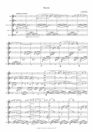 Reverie (arr. Armin Terzer)