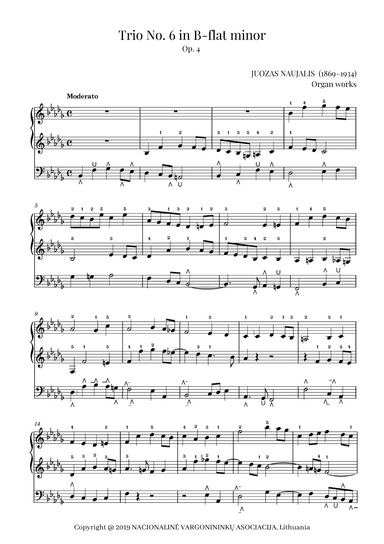 Trio No. 6 in B-flat minor, Op. 4 by Juozas Naujalis (1869–1934)