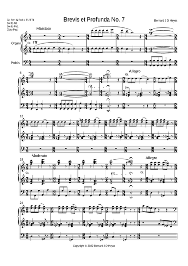 Brevis et Profunda No. 7