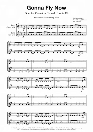 Gonna Fly Now (arr. Tim Curd)