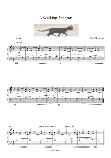 A Walking Shadow