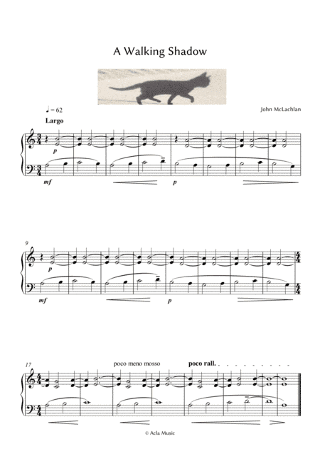 A Walking Shadow
