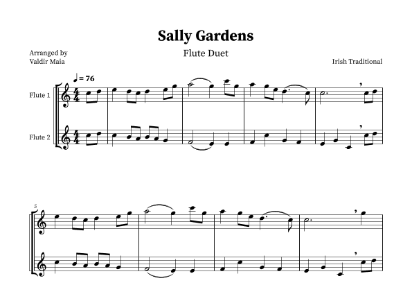 Sally Gardens - Flute Duo (arr. Valdir Maia)