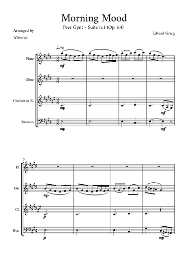 Morning Mood (Peer Gynt Suite N.1, Op 46) (arr. BTmusic)