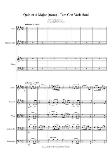 Quintet A Major (trout) - Tem Con Variazioni (arr. Matthew pyeon)